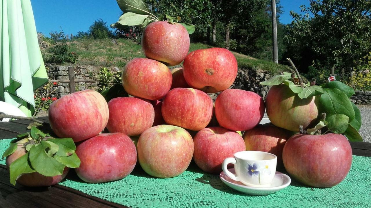 Il Poggio Di Traverde